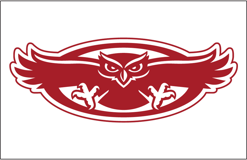 Florida Atlantic Owls 2015-2016 Helmet Logo diy iron on heat transfer